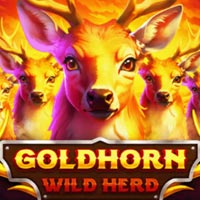 GRAB88 - Goldhorn Wild Herd | grab88 | GRAB88