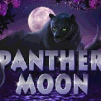 GRAB88 - Panther Moon | grab88 | GRAB88