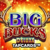 GRAB88 - Big Bucks Deluxe Tapcards | grab88 | GRAB88