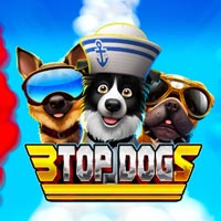 GRAB88 - 3 Top Dogs | grab88 | GRAB88