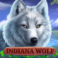 GRAB88 - Indiana Wolf | grab88 | GRAB88