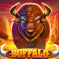 GRAB88 - Buffalo | grab88 | GRAB88