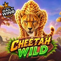GRAB88 - Cheetah Wild | grab88 | GRAB88