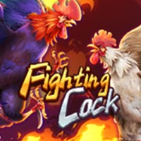 GRAB88 - Fighting Cock | grab88 | GRAB88
