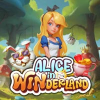 GRAB88 - Alice in Winderland | grab88 | GRAB88