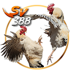 SV388